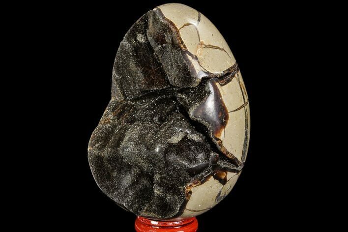 Septarian Dragon Egg Geode - Black Crystals #109965